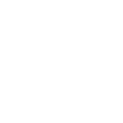 Brand Brothers Logo